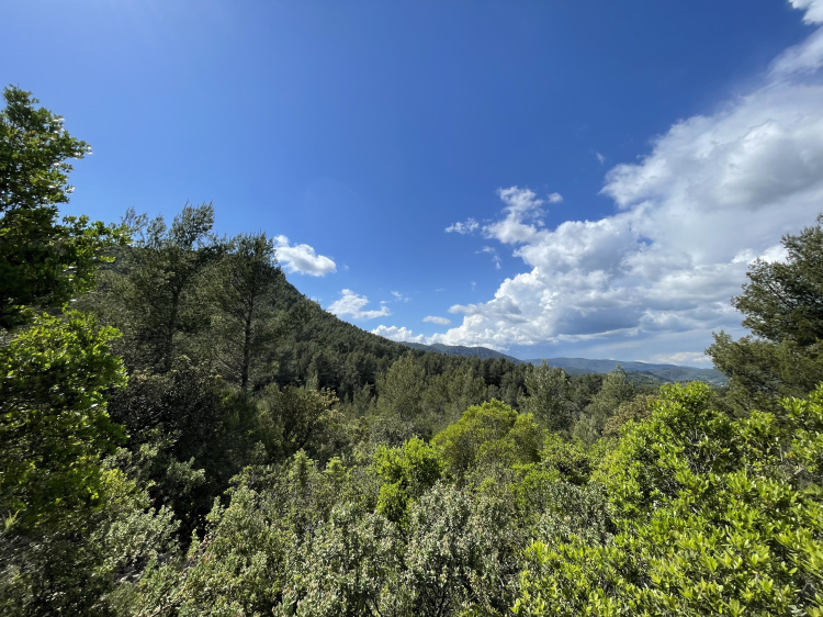 biens/1/6fa7ed702019e14c020fcb8e2600a027/photo_c33a3690dd493b23b1268e1d82e14548.jpg