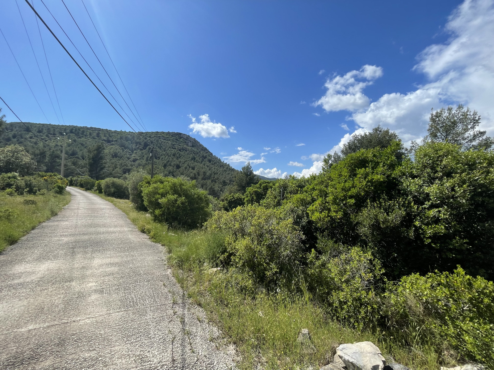 Image_, Terrain agricole, Solliès-Toucas, ref :145