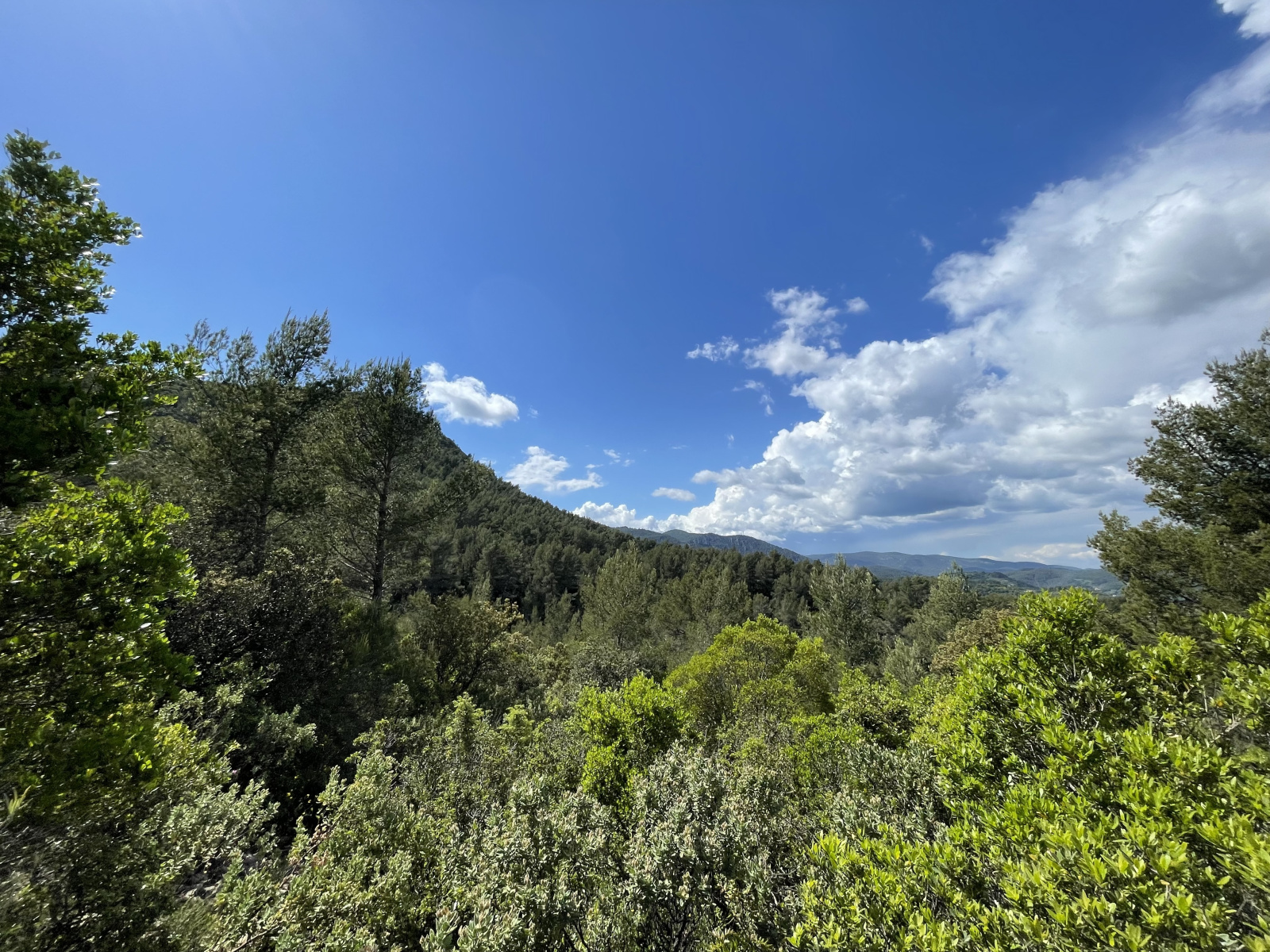 Image_, Terrain agricole, Solliès-Toucas, ref :145