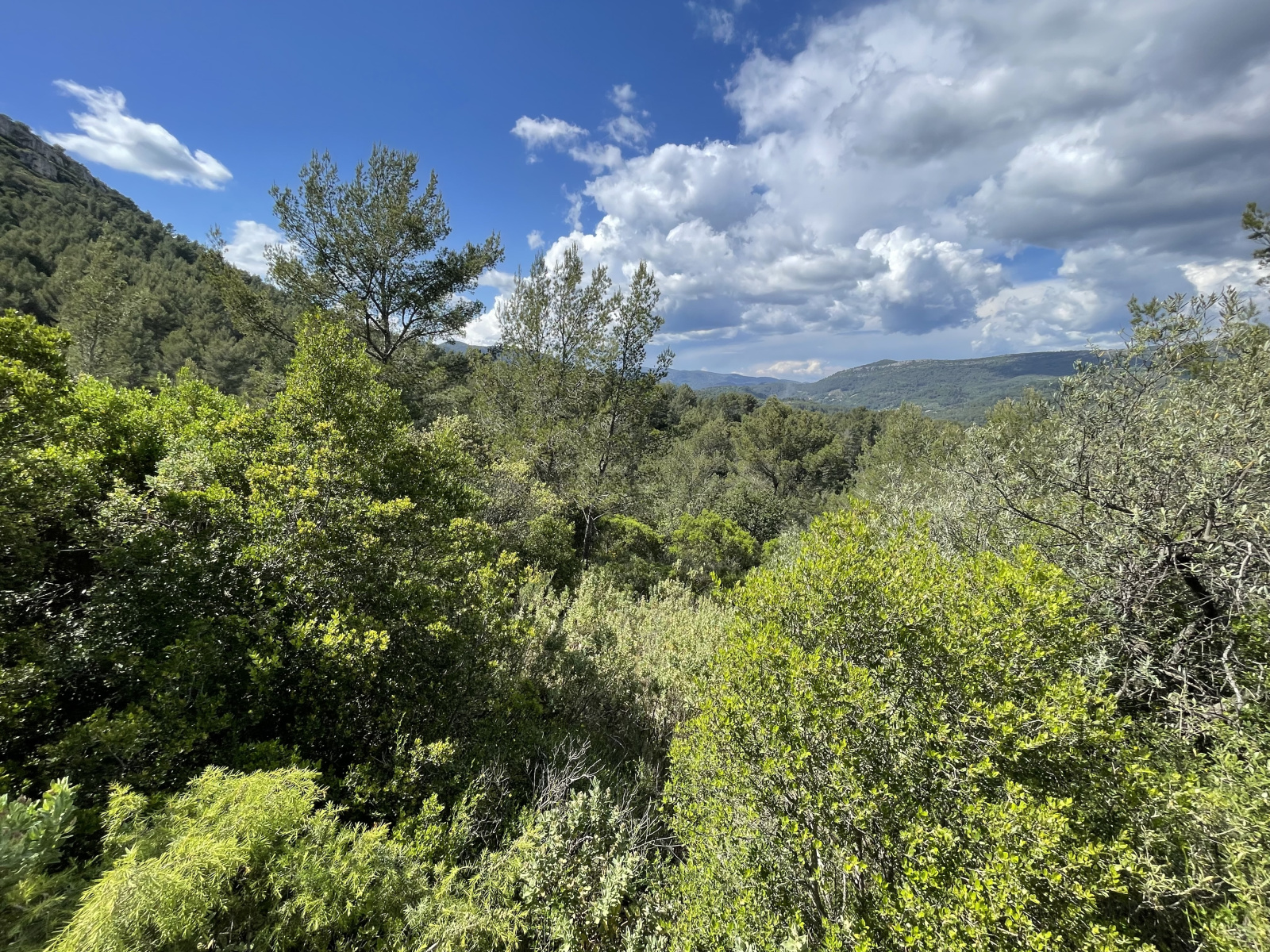 Image_, Terrain agricole, Solliès-Toucas, ref :145